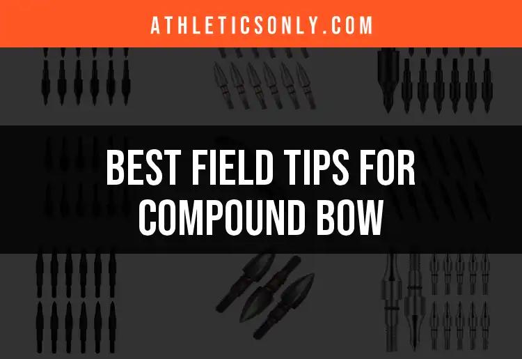 10 Essential Field Tips for Your Compound Bow Accuracy