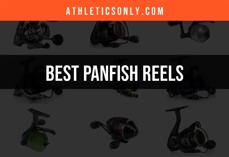 11 Top Panfish Reels to Enhance Your Fishing Experience